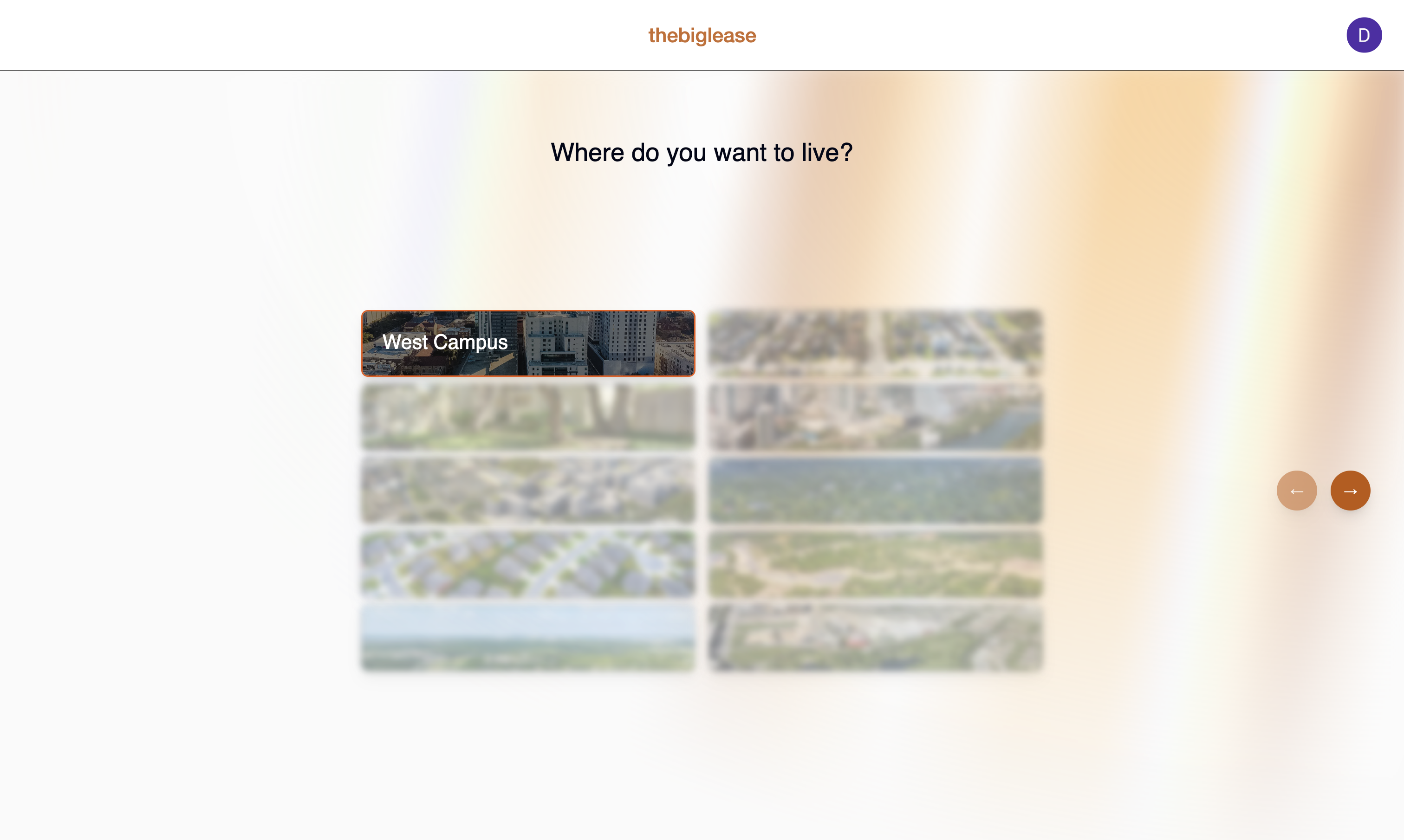 The Big Lease Options